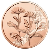 Marigold 10 Euro Miedź 2022