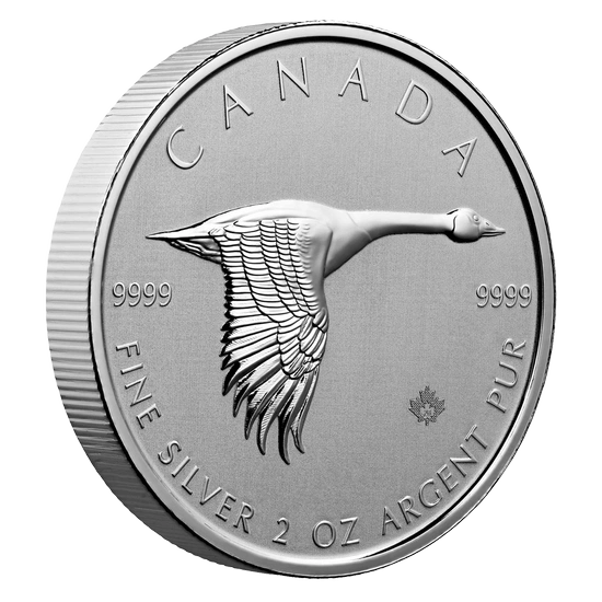 Gęś 2 uncje Srebra 2020