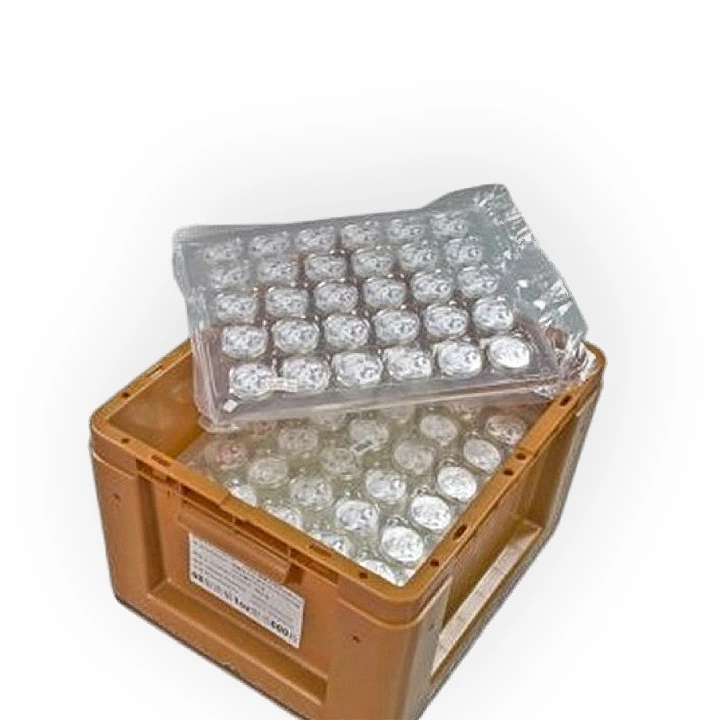 Chińska Panda 30 gramów Srebra 2025