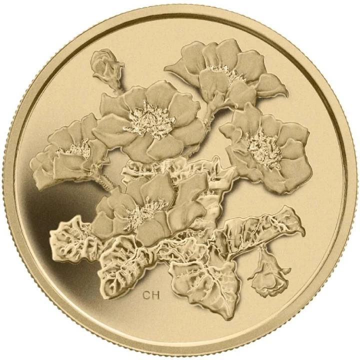 Canada: Mountain Avens $350 Złoto 2011 Proof