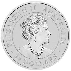 Koala 1000 gramów Srebra 2020