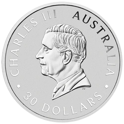 Kookaburra 1000 gramów Srebra 2026