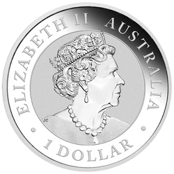 Australijski Wombat kolorowany 1 uncja Srebra 2022