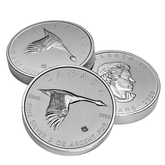 Gęś 2 uncje Srebra 2020