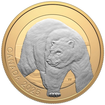 Canada: Animal Portraits - Polar Bear pozłacany $20 Srebro 2025 Proof