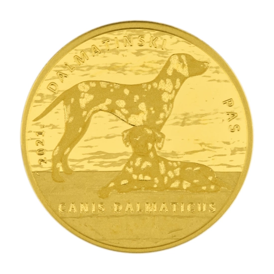 Croatia: Dalmatian Dog 1/16 uncji Złota 2021