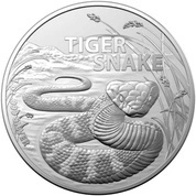 Najniebezpieczniejsze stworzenia Australii: Tiger Snake 1 uncja Srebra 2024