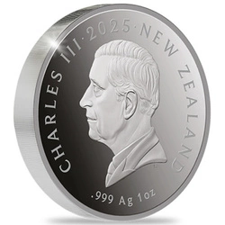 Kiwi kolorowany 1 uncja Srebra 2025 Proof