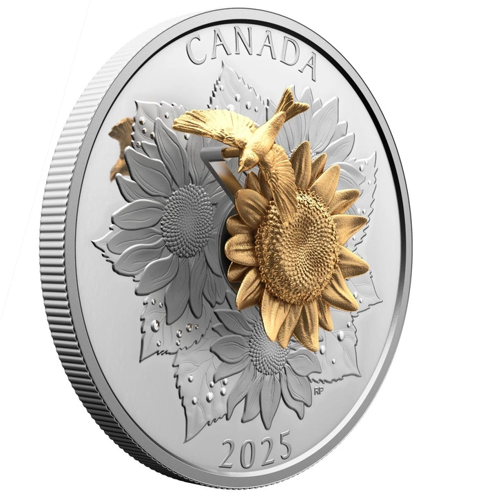 Canada: The Goldfinch and the Bloom pozłacany $50 Srebro 2025 Proof