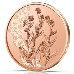 The forget-me-not 10 Euro Miedź 2023