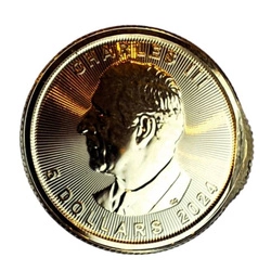 Kanadyjski Liść Klonowy 1/10 uncji Złota 2024 - Uszkodzony Rant