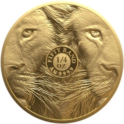 Big Five III: Lion 1/4 uncji Złota 2025 Proof