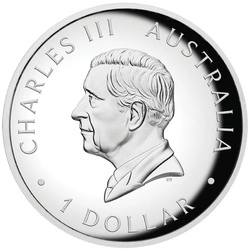 Australijski Kangur kolorowany 1 uncja Srebra 2025 Proof High Relief