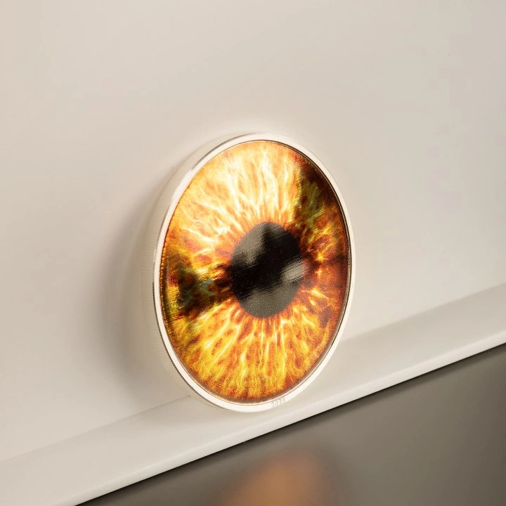 Palau: Coloreyezed – Hazel Brown kolorowany 1 uncja Srebra 2023 Proof