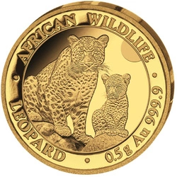 Somalia: African Wildlife - Leopard 0,5 grama Złota 2024 Proof