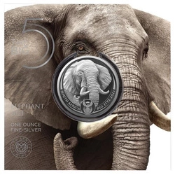 Big Five II: Elephant 1 uncja Srebra 2021