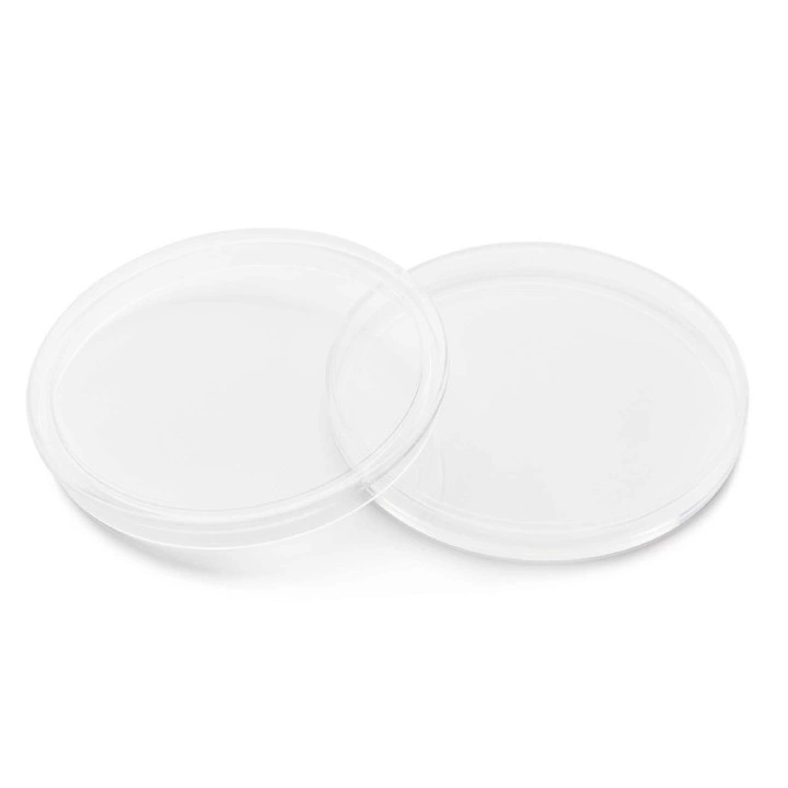 The Next Generation: Mother and Baby Kangaroo 10 uncji Srebra 2023 Piedfort