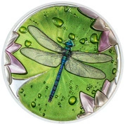 Palau: Lily Pad - Dragonfly kolorowany 1 uncja Srebra 2024 Proof Ultra High Relief