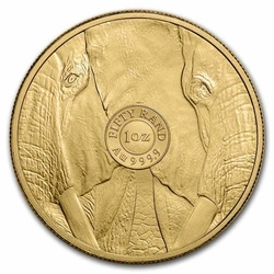 Big Five: Elephant 1 uncja Złota 2023