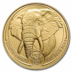 Big Five: Elephant 1 uncja Złota 2022