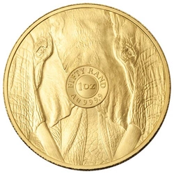 Big Five: Elephant 1 uncja Złota 2025