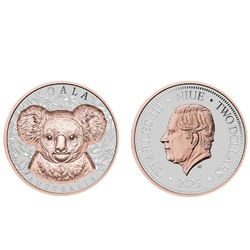 Niue: Native Impressions - Koala pozłacana 1 uncja Srebra 2025 Prooflike Super Incused