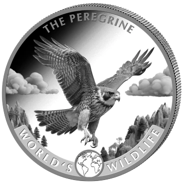 Congo: World‘s Wildlife - Peregrine Falcon 1 uncja Srebra 2024