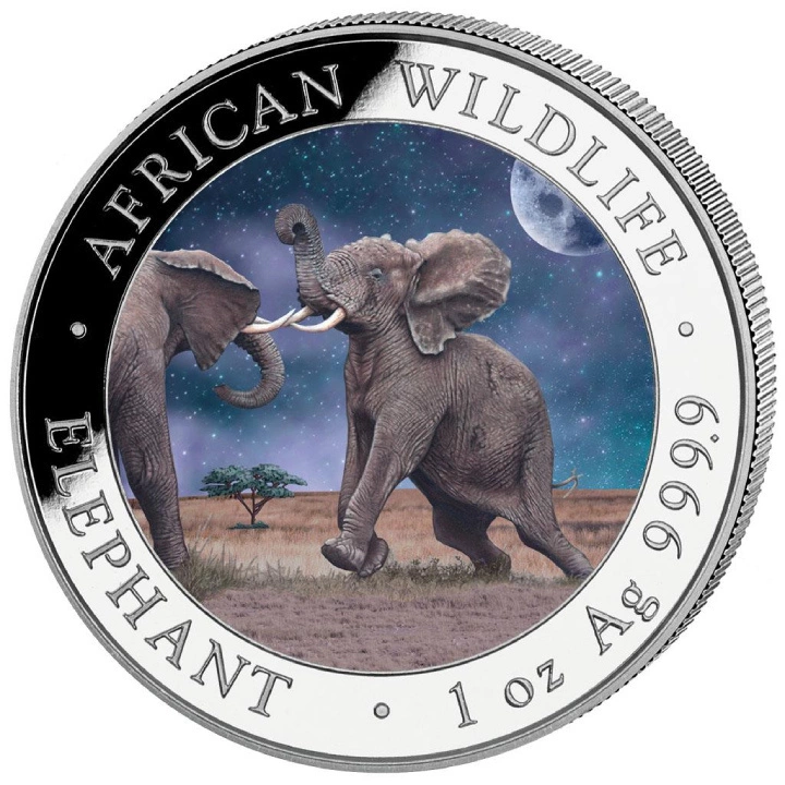Zestaw 2 monet African Wildlife: Słoń Somalijski "Day & Night" kolorowany 2 x 1 uncja Srebra 2024