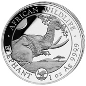 African Wildlife: Słoń Somalijski 1 uncja Srebra 2023 Privy Mark 'Year of the Rabbit'