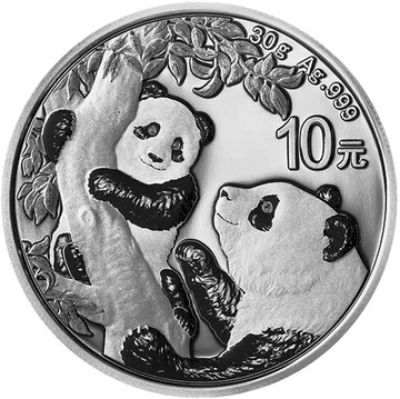 Chińska Panda 30 gramów Srebra 2021