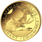 African Wildlife: Słoń Somalijski 1/10 uncji Złota 2023