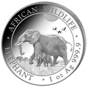 African Wildlife: Słoń Somalijski 1 uncja Srebra 2022