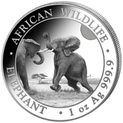 African Wildlife: Słoń Somalijski 1 uncja Srebra 2024