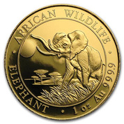 African Wildlife: Słoń Somalijski 1 uncja Złota 2016