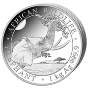 African Wildlife: Słoń Somalijski 1000 gramów Srebra 2023