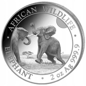 African Wildlife: Słoń Somalijski 2 uncje Srebra 2024