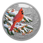 Canada: Colourful Birds - Northern Cardinal kolorowany $20 Srebro 2023 Proof 