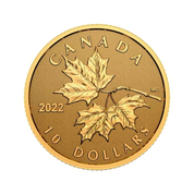 Canada: Everlasting Maple Leaf 1/20 uncji Złota 2022 Proof