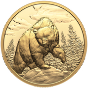 Canada: Great Hunters - Grizzly Bear $200 Złoto 2023 Proof Ultra High Relief Coin