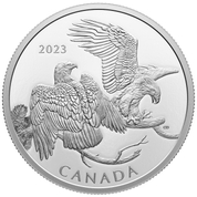Canada: The Striking Bald Eagle $30 Srebro 2023 Proof