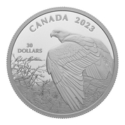 Canada: Vantage Point – Bald Eagle 2 uncje Srebra 2023 Proof