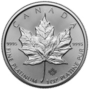 Kanadyjski Liść Klonowy 1 uncja Platyny 2024