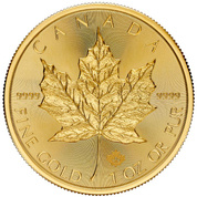 Kanadyjski Liść Klonowy 1 uncja Złota 2024