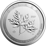 Kanadyjski Liść Klonowy “Magnificent Maple” 10 uncji Srebra 2021