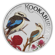 Kookaburra kolorowana 1 uncja Srebra 2023 (World Money Fair)