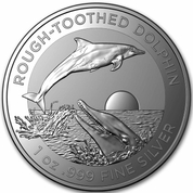 Rough-Toothed Dolphin 1 uncja Srebra 2023